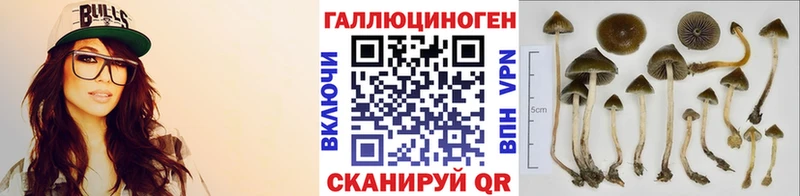 цена наркотик  OMG онион  даркнет какой сайт  Зеленодольск  Галлюциногенные грибы MAGIC MUSHROOMS 