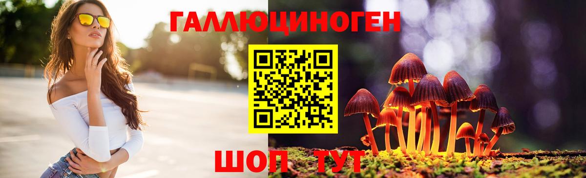 Галлюциногенные грибы прущие грибы  Вход с VPN  Зеленодольск  хочу наркоту  Псилоцибиновые грибы мицелий 